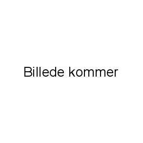 Badminton bøger